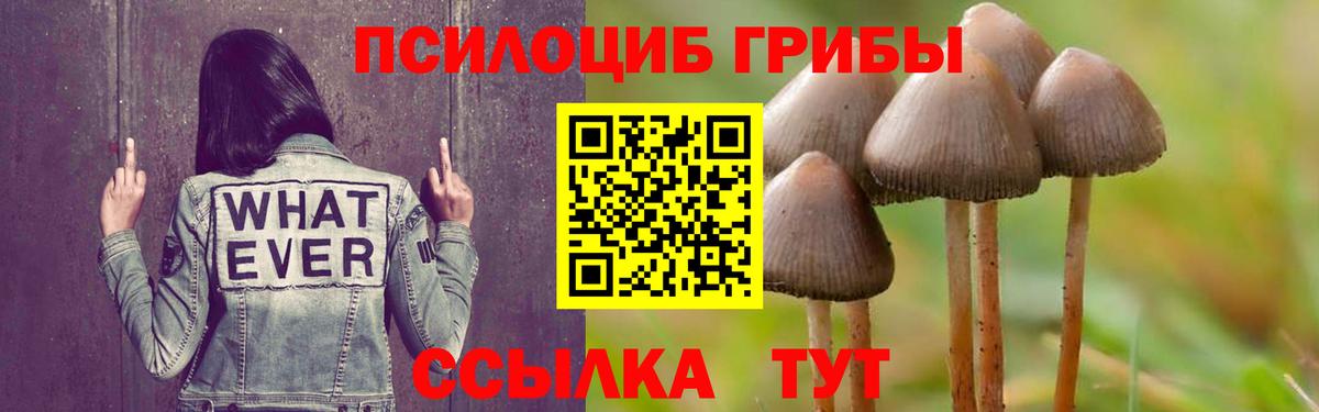 Галлюциногенные грибы Cubensis  Галлюциногенные грибы прущие грибы  даркнет сайт  Симферополь  Вход с VPN 
